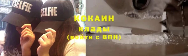 прущие грибы Абинск