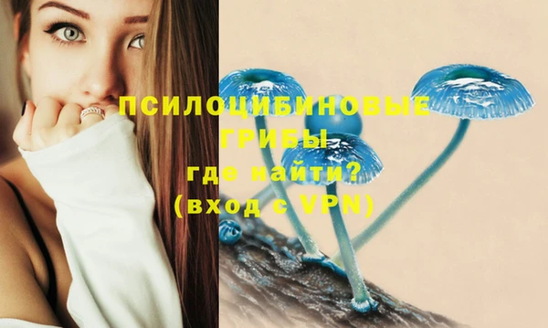 каннабис Алексин